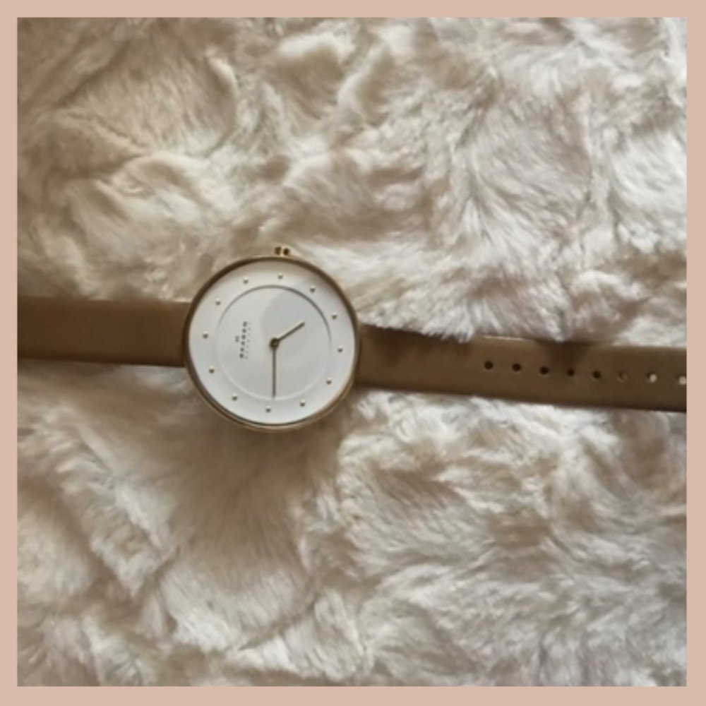 Leather Skagen Watch